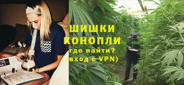 spice Горняк