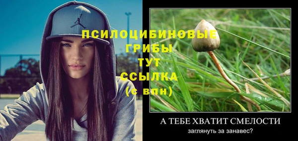трава Горно-Алтайск
