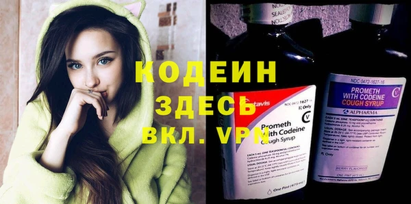 эйфоретик Вяземский