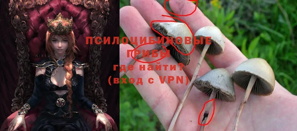 метадон Вязьма